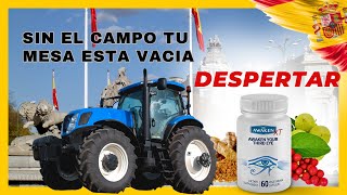 ¿Es Despertar XT legítimo? ¡No creerás! ⚠️ ¡Alarma! ⚠️ Lo que descubrí. Antes de comprar AwakenXT!