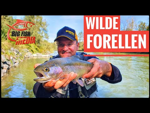 Auf "wilde" Forellen am Fluss: So fängst Du - Gregor trifft den Profi | MIT GEWINNSPIEL