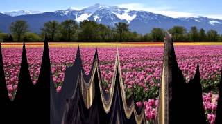 video parole di cristallo