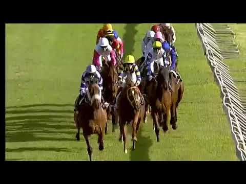 2019.01.26 New Turf Carriers Stayers (RSA) - Magnificent Seven