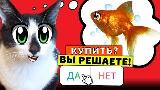 ПОДПИСЧИКИ УПРАВЛЯЮТ МОЕЙ ЖИЗНЬЮ! КОТ МАЛЫШ И КОШЕЧКА МУРКА ДЕЛАЮТ ВСЕ 24 ЧАСА! + ИГРУШКИ КУКЛЫ ЛОЛ