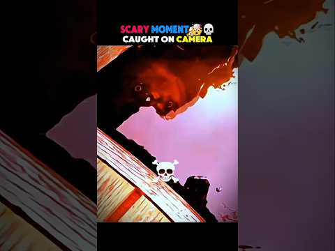 Scary Sea Creature caught on camera 🌊 #sealions  #caughtoncamera #wildlife