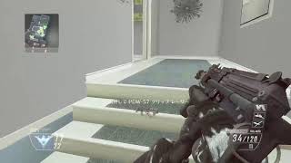 BO2てきとーにやる