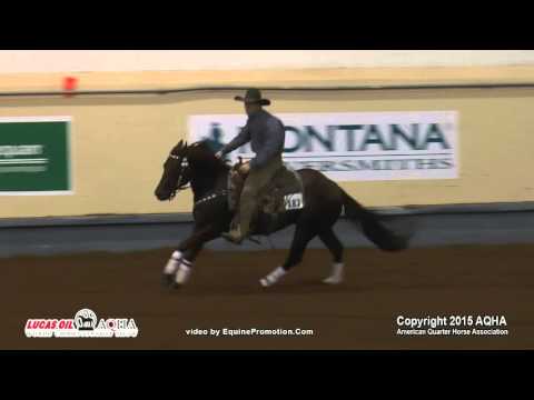 PONY ON THE BOAT ridden by BRANDON BUTTARS  - 2015 AQHA World Show(Prelims - Jr Working Cow Horse)