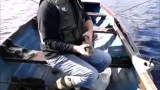Pike fishing in Cavan, Ireland