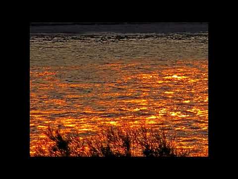 Reuben Tobias - Portraits