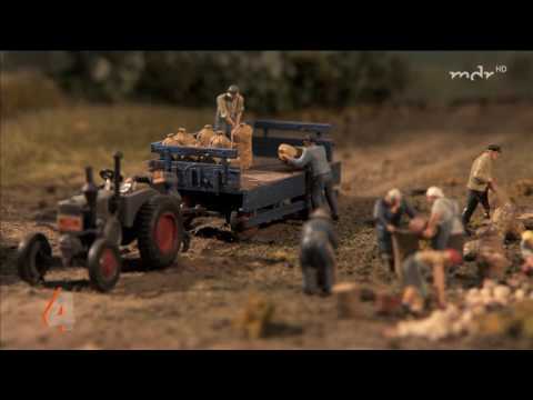 Auf historischer Reise mit der Miniatur Eisenbahn