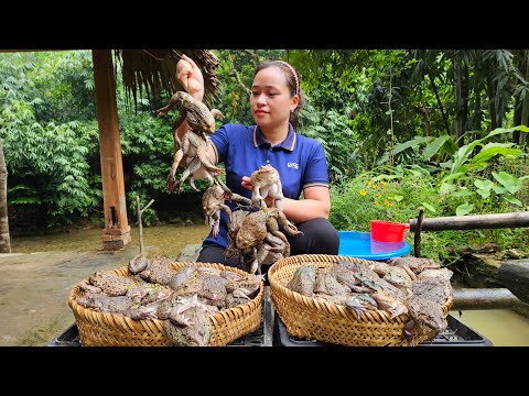 Harvesting & Find Frog Goes to market sell - Cooking - Live with nature