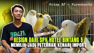 Download lagu Taking the Leap: Quitting My Job to Successfully Breed Imported Canaries in a Small Space. Chicks... mp3 Download lagu Taking the Leap: Quitting My Job to Successfully Breed Imported Canaries in a Small Space. Chicks... mp3