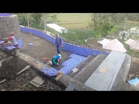 oseng wonderland Banyuwangi