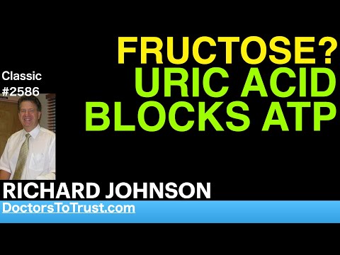 RICHARD JOHNSON | FRUCTOSE?   URIC ACID & BLOCKS ATP
