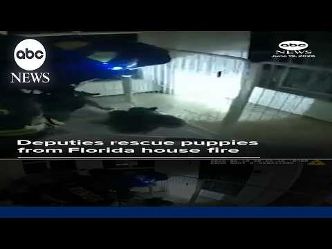 Deputies rescue puppies from Florida house fire