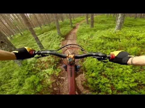 Epic loam at Dalåken trail / Sogndal diary Ep04 / Kaupanger / Norway / Propain Tyee CF