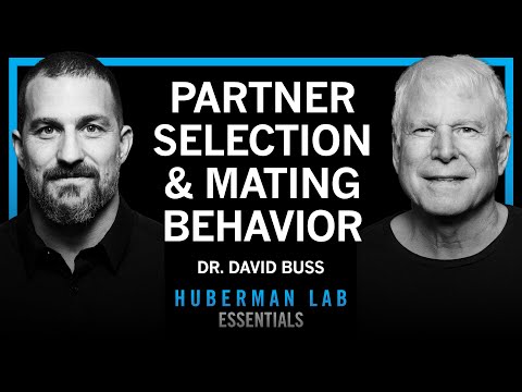 @hubermanlab - "Essentials: How Humans Select & Keep Romantic Partners in the Short & Long Term | Dr. David Buss"