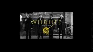 Wildlife - Dangerous Times