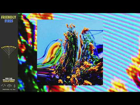 Friendly Fires - Run The Wild Flowers (Icarus Remix)