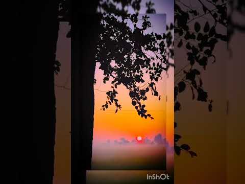 morning time ka view #viral #shortsfeed #youtubeshorts #shortsfeedviral #beautiful  hashtag #viral