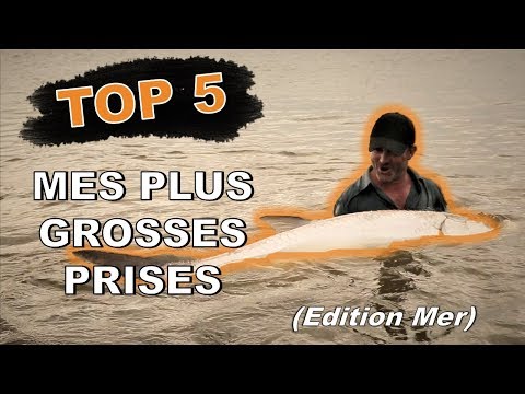 TOP 5 : MES PLUS GROSSES PRISES (En Mer) - Cyril Chauquet