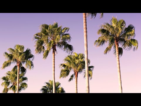 Trap Beat, Instrumental, Hip-Hop&Rap [No Copyright Sound] [ FREE USE MUSIC ] - FAYZED - Nat's Tea