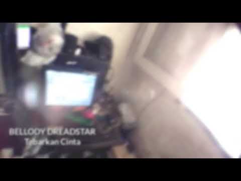 Bellody Dreadstar - Tebarkan Cinta