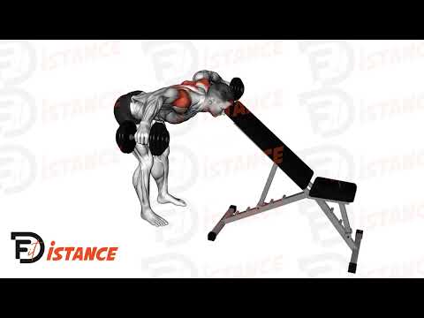 Élévations latérales (oiseau) tête contre banc - Exercice Élévations latérales (oiseau) tête contre banc en vidéo