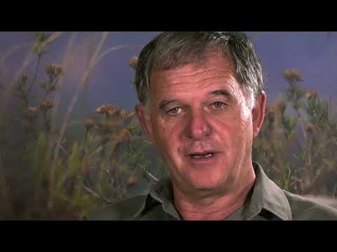 Shamwari Untamed - Trailer (on Netflix)