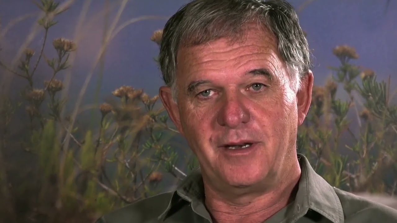 Shamwari Untamed trailer