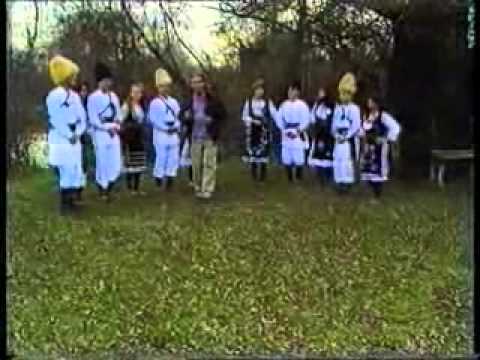 VESELIN VESA PAULJESKOVIC - MANDRULJICA MJA DAN SAT