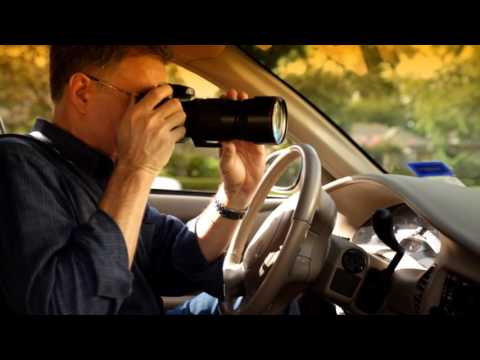 Mr. Wonderful - Trailer