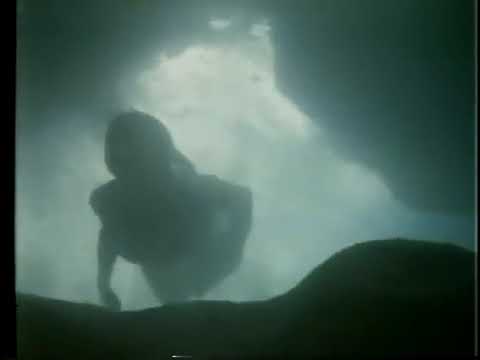 1978 CFL on CBC commercial break