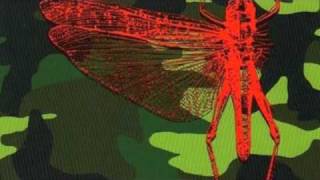 The Locust - Well I'll Be a Monkey's Uncle (single version)