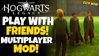Hogwarts Legacy Multiplayer Mod - How it works? (HogWarp)