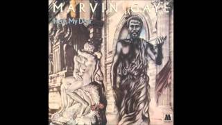 Marvin Gaye - When Did You Stop Loving Me
