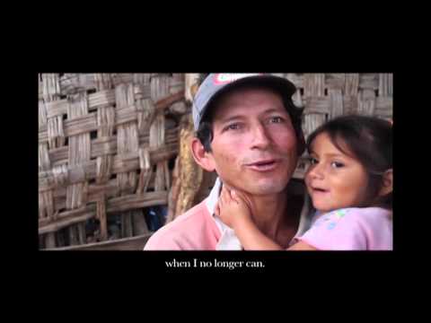 Sustainable Nutrition for 823+ Families in Peru