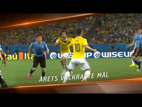 Fotbollskanalens bästa klipp 2014 - TV4 Sport