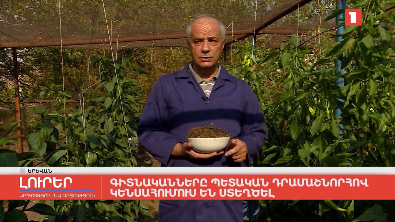 Գիտնականները պետական դրամաշնորհով կենսահումուս են ստեղծել