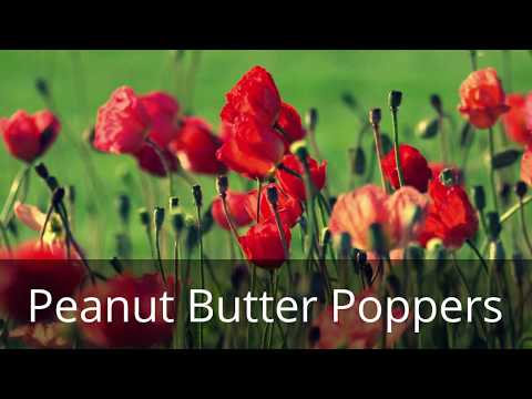 Peanut Butter Poppers - Bad Unboxing