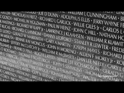 Rear Window - Maya Lin and the Vietnam Veterans Memorial