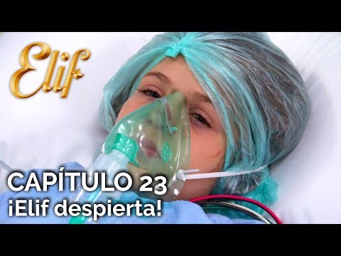 Elif Chapter 23 | Elif wakes up!