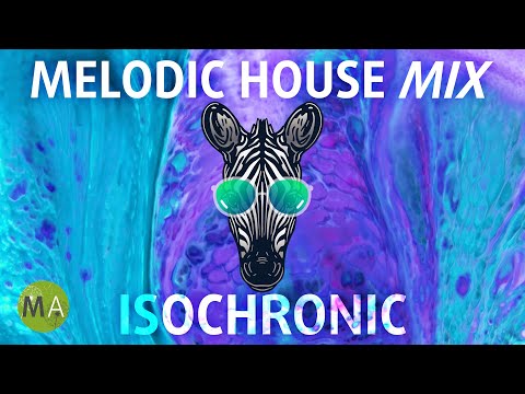 Peak Focus Melodic House (Zebra Mix) with Beta Wave Isochronic Tones