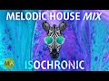 Peak Focus Melodic House Mix with Beta Wave Isochronic Tones