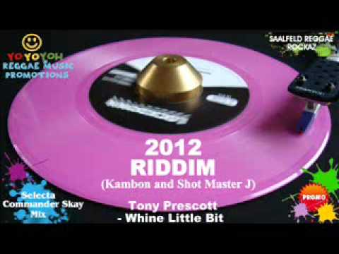 2012 Riddim Mix [December 2011] [Mix January 2012] Kambon and Shot Master J