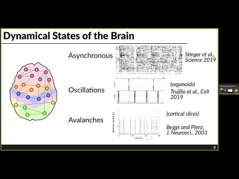 Victor Buendía - Critical synchronization in brain networks