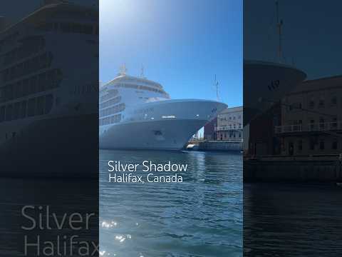 Thumbnail for Silver Shadow docked in Halifax, Canada #silversea #silvershadow #ultraluxury #cruiseship #cruise