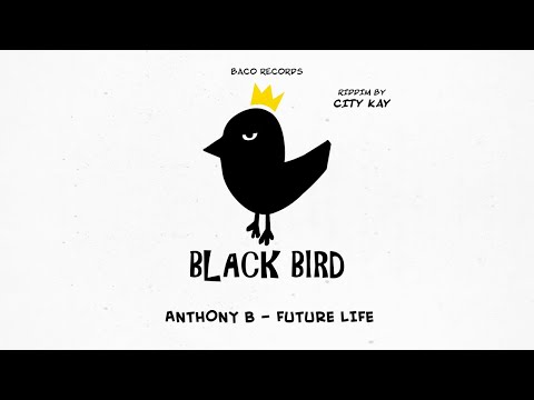 🦅 Anthony B - Future Life [Black Bird Riddim by City Kay]