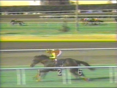 1993 Ramona Handicap