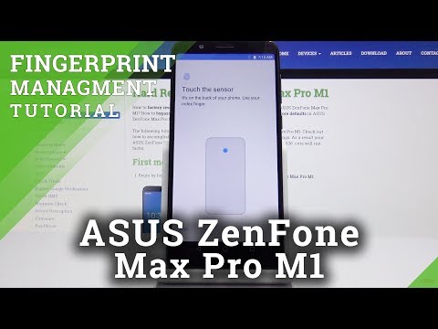 How to Add Fingerprint to ASUS ZenFone Max Pro M1 - Screen Protection