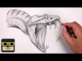 How To Draw A Snake Reptile Sketch Tutorial