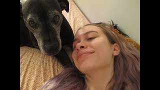 begin- the wailin&#39; jennys (cover)