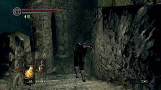 死んだら配信終わりダクソ#2